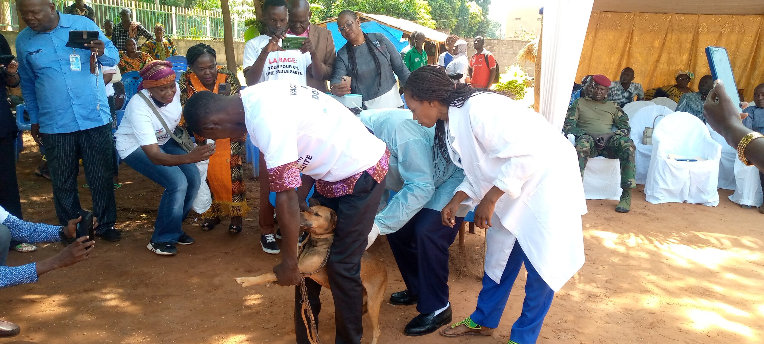 Centrafrique : Une centaine d’animaux domestiques  vaccinés à l’occasion de la journée mondiale  de  lutte contre la rage