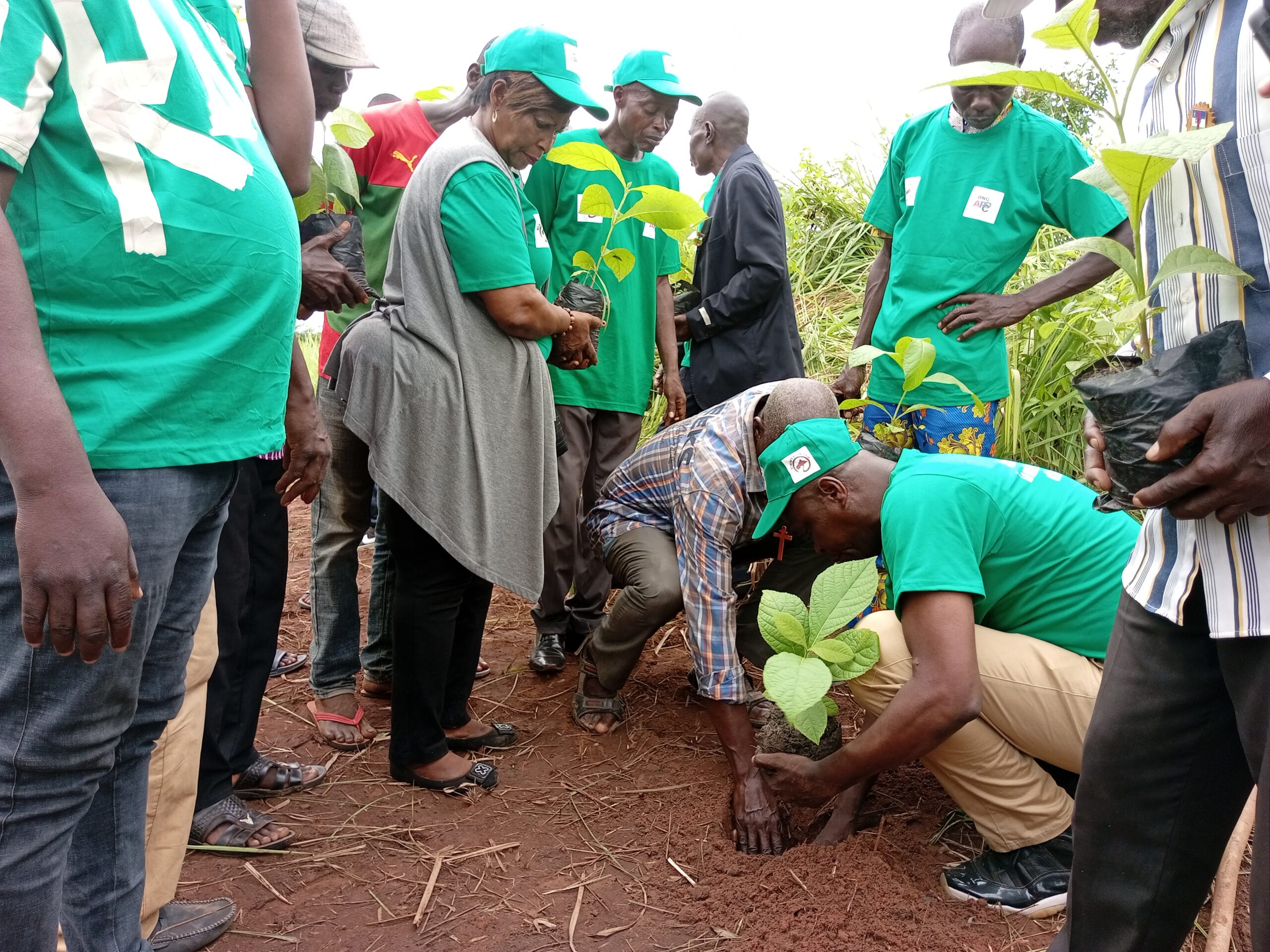 Centrafrique : Plus de mille arbres plantés dans trois villages situés à quelques encablures de Bangui par l’ONG APDC à l’occasion de la journée de l’environnement