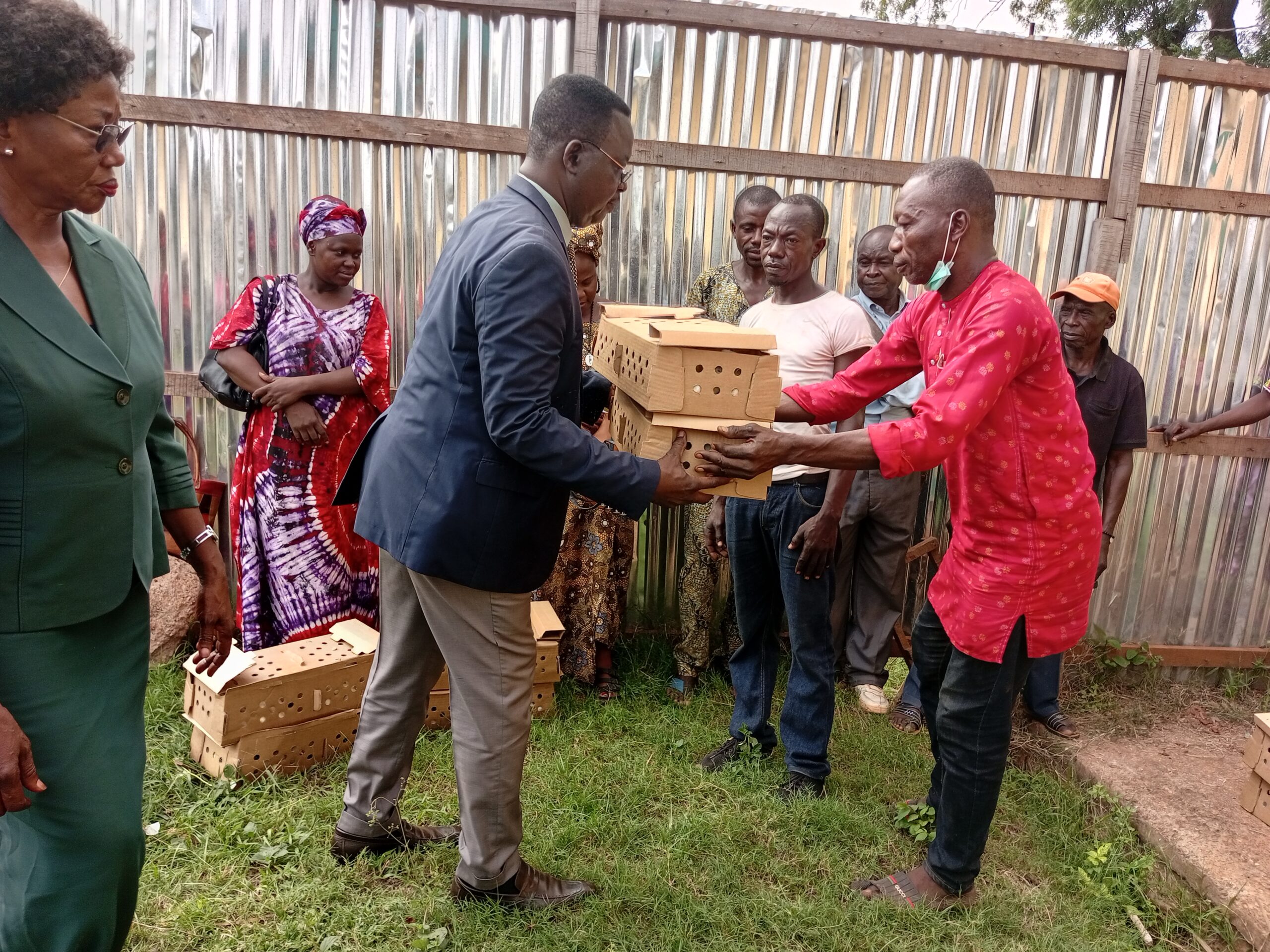 Centrafrique : Des bénéficiaires du projet PAPEUR-Rural reçoivent des poussins pour accroître la production de poulets de chair à Bangui