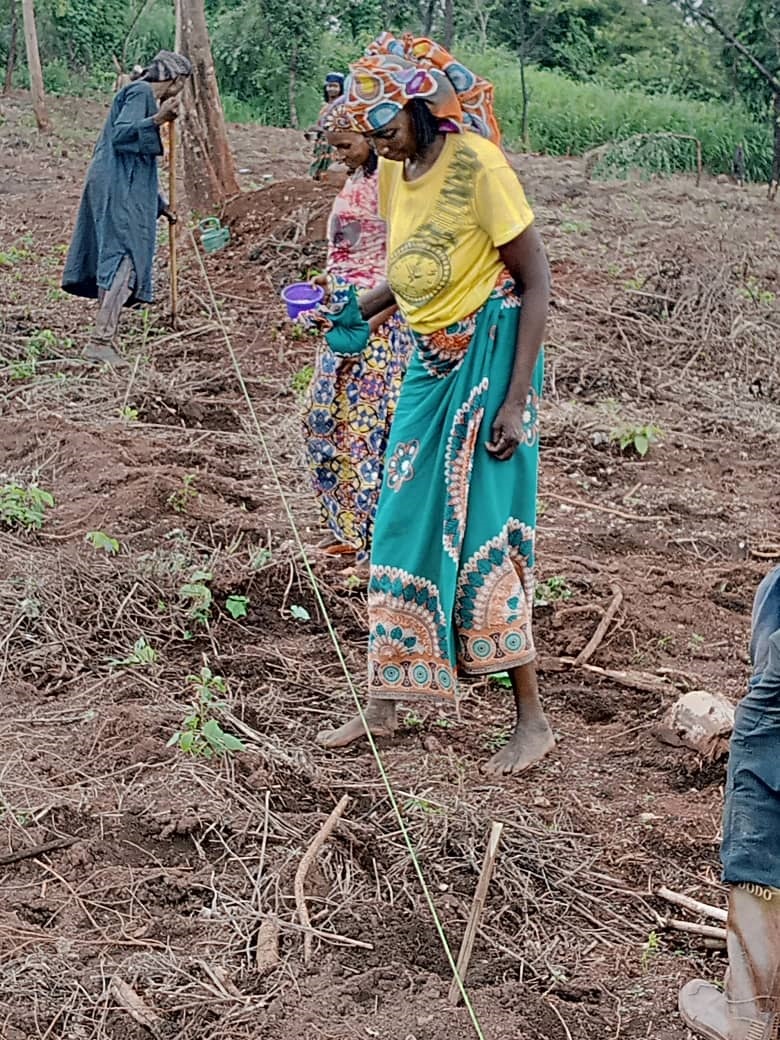 Centrafrique : la mise en œuvre du Papeur rural facilite la réconciliation et la réinsertion d’anciens déplacés peulhs au centre du pays  